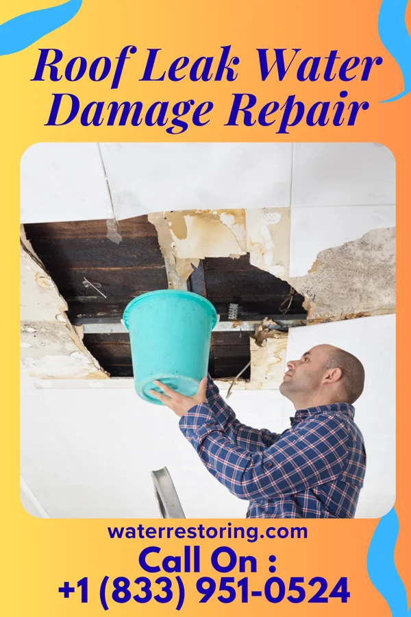 Roof Leak Water Damage Repair in Timnath, CO